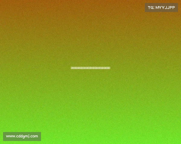 上海健身赛事盛大开幕活力无限健康同行共创都市美好未来